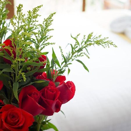 Ilalo Garden Hotel & Restaurant Кіто Екстер'єр фото
